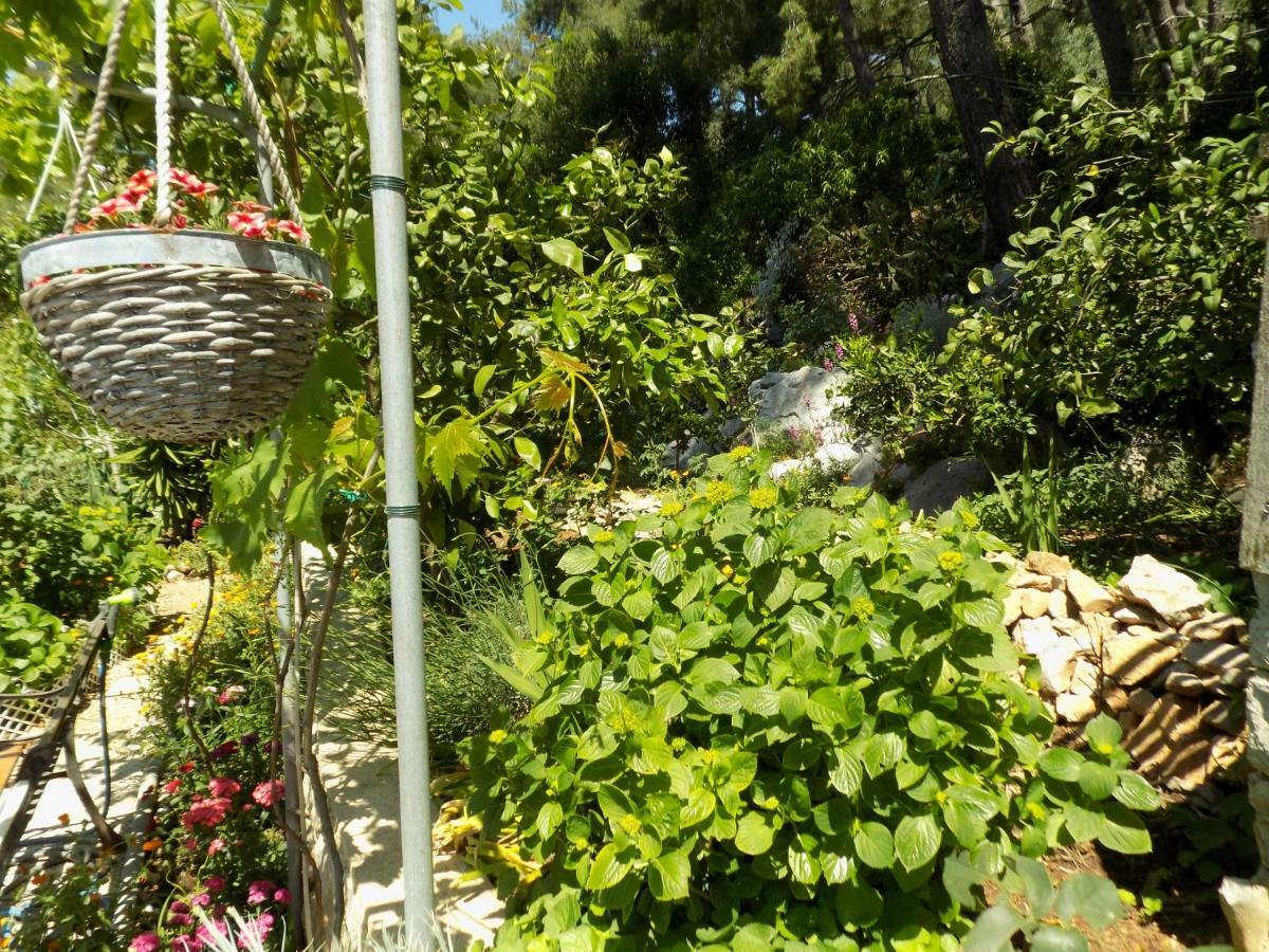 Apartments Zerjav Mali Losinj Bagian luar foto